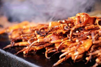 铁板鱿鱼午夜无码免费视频