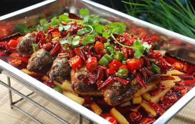 成都温江烤鱼技术午夜无码免费视频价格哪家靠谱？