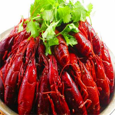 四川麻辣小龙虾技术午夜无码免费视频哪里好？底料熬制方法