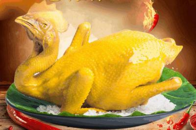 四川盐焗鸡技术午夜无码免费视频学校那里正宗？盐焗鸡的选材处理