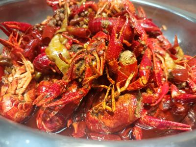  麻辣小龙虾技术午夜无码免费视频学校哪家好？