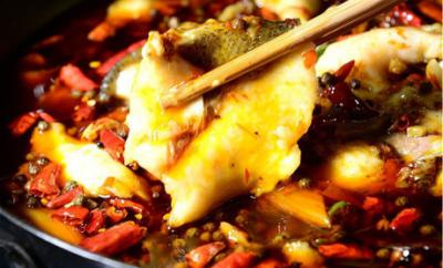 学做冷锅鱼技术午夜无码免费视频哪里比较好？