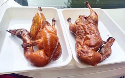 成都冒烤鸭技术午夜无码免费视频哪家好?  专业冒烤鸭技术午夜无码免费视频