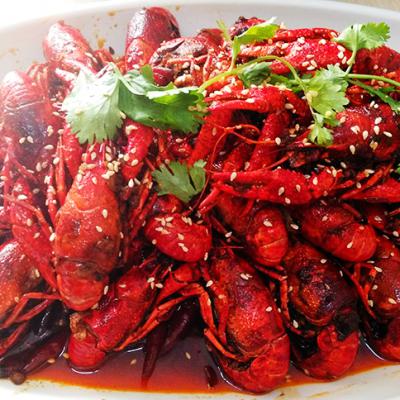 麻辣小龙虾技术午夜无码免费视频哪里有？午夜福利影院在线观看麻辣小龙虾技术午夜无码免费视频