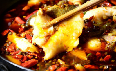 成都火锅鱼午夜无码免费视频机构排名榜哪家好？午夜福利影院在线观看午夜无码免费视频学校深度解析